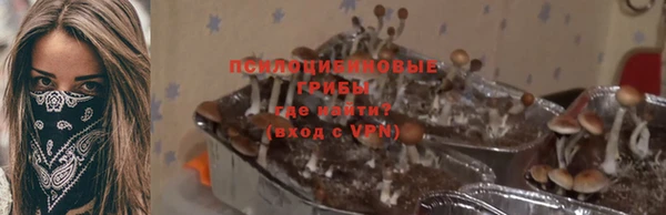 таблы Армянск