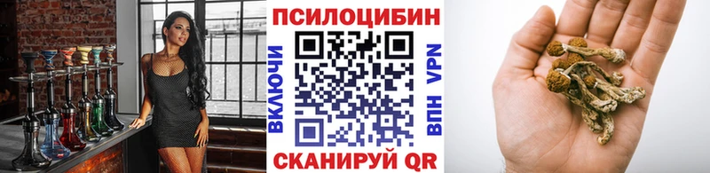 наркошоп  Похвистнево  Галлюциногенные грибы мицелий 